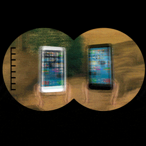 pope francis news GIF