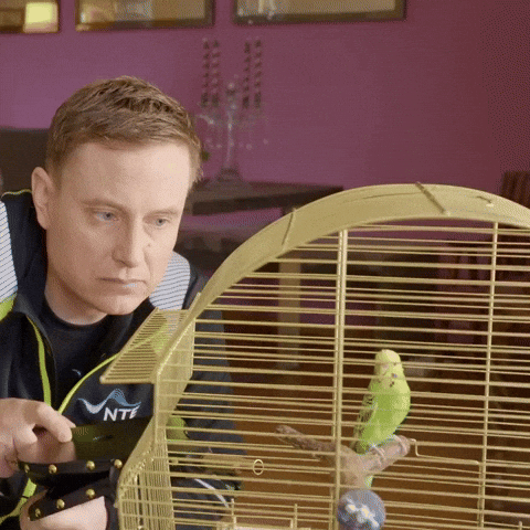 GIF by NTE Grøntforsprang