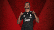Werder Predator GIF by Bundesliga