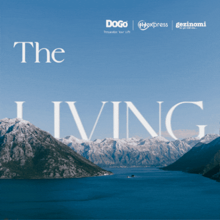 qyatirimholding giphygifmaker montenegro dogo aol GIF