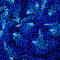Art Loop GIF by xponentialdesign