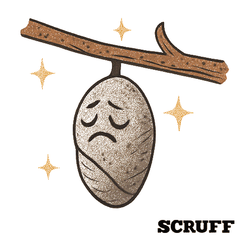 Gay Pride Sticker by SCRUFF