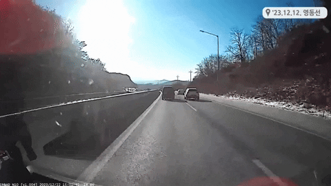 yj_jane giphyupload GIF