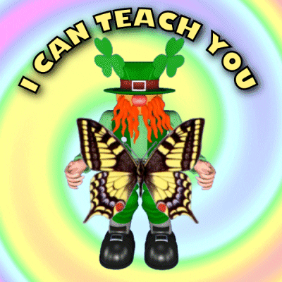 Coach Learn GIF