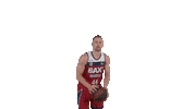 Liga Endesa Basketball Sticker by ACB