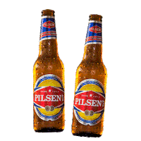 Sticker by PilsenPy