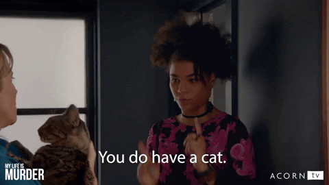 Xena Warrior Princess Lol GIF by Acorn TV