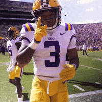 College Football GIF by LSU Tigers