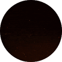 Wolf Pack Sticker by Paramount+