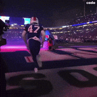 Buffalo Bills Aura GIF