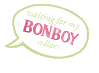 bonboyco puppy love dog collar giagif dog fashion Sticker