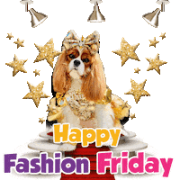 Dog Fashion Sticker by Pimp Yo Pets