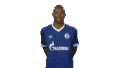 football soccer Sticker by Bundesliga
