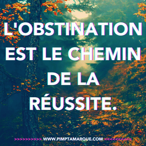 Business Canada GIF by PIMP TA MARQUE