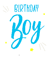 Happy Birthday Celebration Sticker by Enchanted Studios