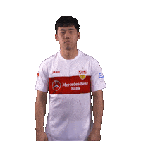 Endo Thats Me Sticker by VfB Stuttgart