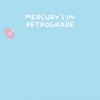 Flying Pig GIF by PositivelyPigasus