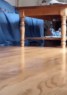 GifsUniverse giphyupload gifvif gifsuniverse GIF