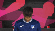 Tsg Hoffenheim Football GIF by Bundesliga