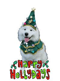 Puppy Benji Sticker