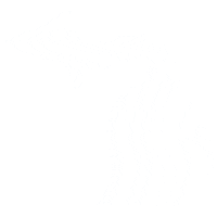 Pure Michigan Blue Heart Sticker by State of Michigan