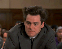 liar GIF