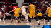 gostanford  GIF