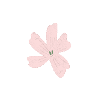 HO66 smile food flower vegan Sticker