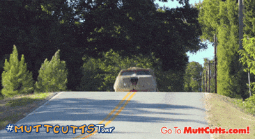 comedy tour GIF by Dumb and Dumber To