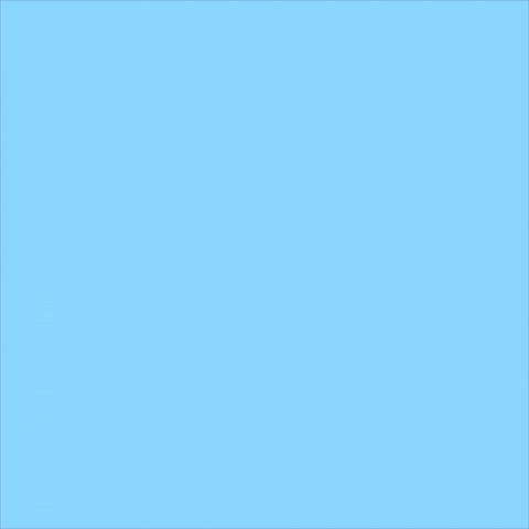 Labor Day Bear GIF by Jessica Lau