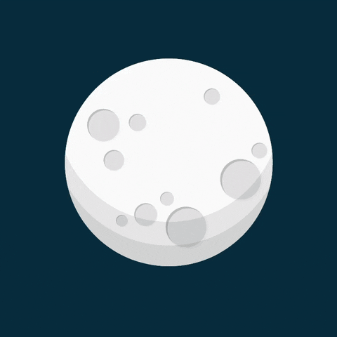 morganeweissenbacher giphyupload GIF