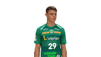 Handball Leipzig Sticker by SCDHFK