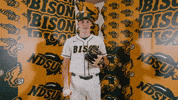 Baseball Bison GIF by NDSU Athletics