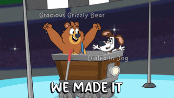 Finish Line Success GIF by VeeFriends