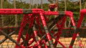 exathlon GIF by Band