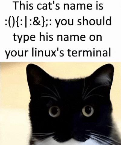 Cat Linux GIF