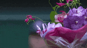 flowers GIF by Wimbledon