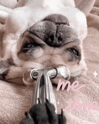 Chill Relax GIF