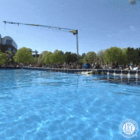 Look Out Cannon Ball GIF by American Kennel Club