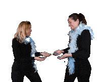 VanSpronsenMakelaars van spronsen van spronsen makelaar makelaar hendrik ido ambacht Sticker