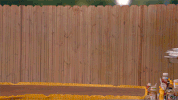 GIF by Random Acts of Flyness