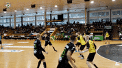 Czech Republic Handball GIF by HCB Karviná