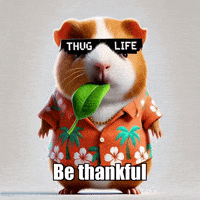 Unity Sun GIF by Guinea Gambino