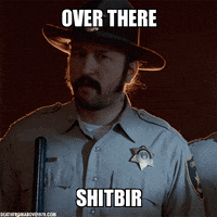 virgins meme GIF by Death From Above 1979