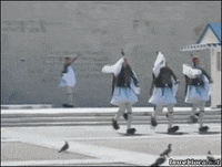 sweep GIF