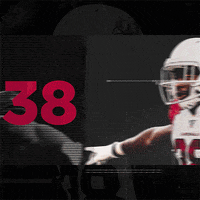 Chrisbanjo GIF by Arizona Cardinals