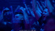 Fans GIF by BLAST