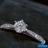 Fashion Style GIF by Damnjobs