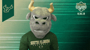 College Sports Bulls GIF by College Colors Day