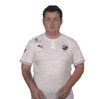 Sv Sandhausen No Sticker by Bundesliga